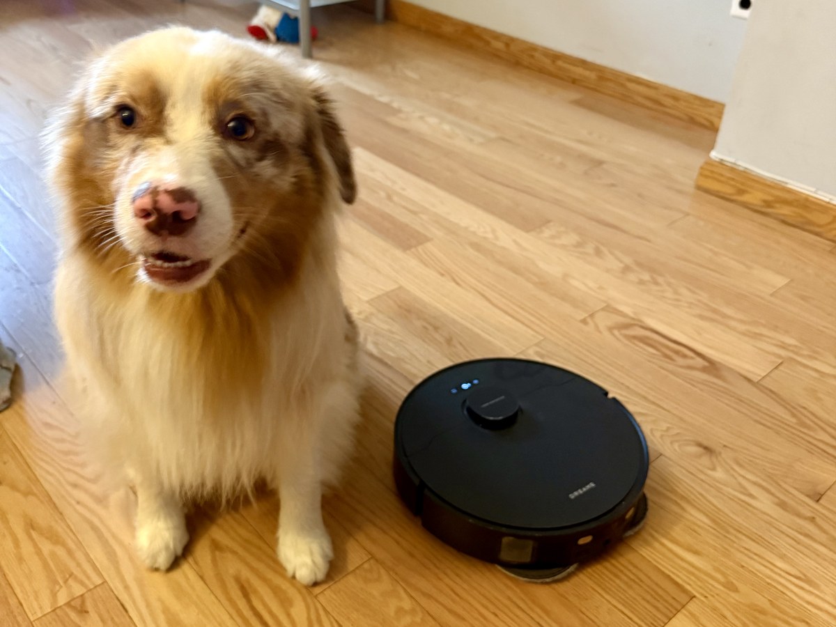 Kai, a red merle Australian Shepherd, sitting next to a black Dreame L40 Ultra Gen 2 robot vacuum