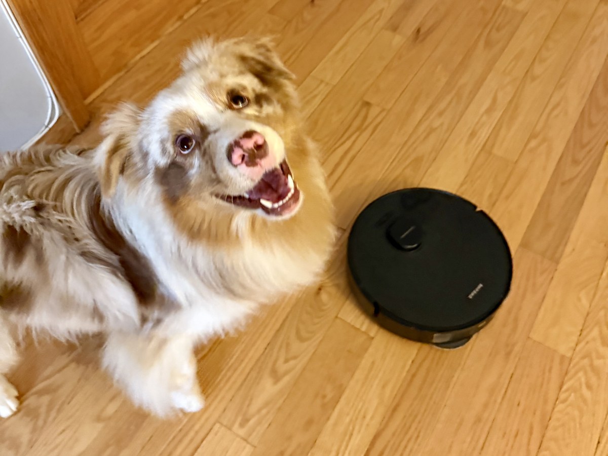 Kai, a red merle Australian Shepherd, smiling up at the camera next to a black Dreame L40 Ultra Gen 2 robot vacuum on the wood floor