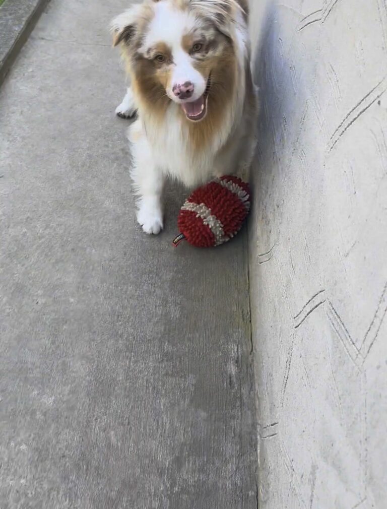 Kai with his red and cream HERO shaggy football