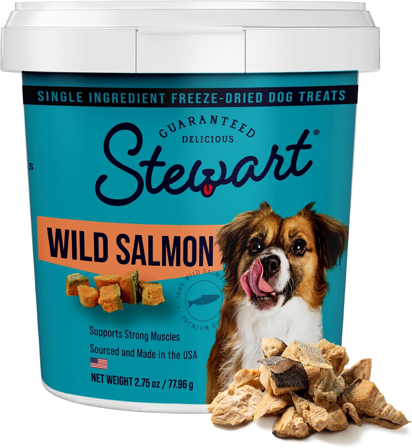 Stewart freeze-dried wild salmon tub — product still, listing dog on pack is not Kai