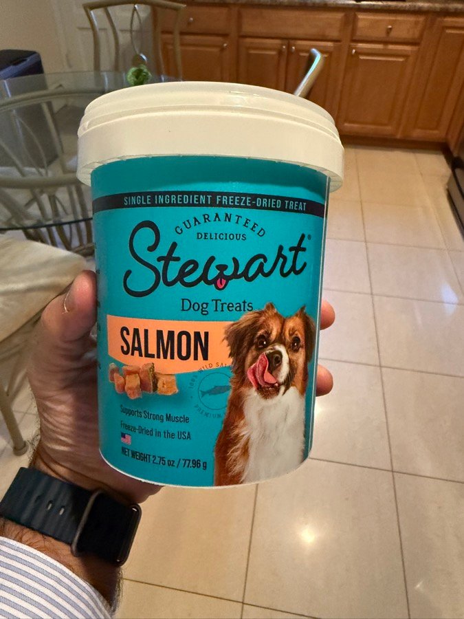 Hand holding a Stewart freeze-dried salmon dog treats tub