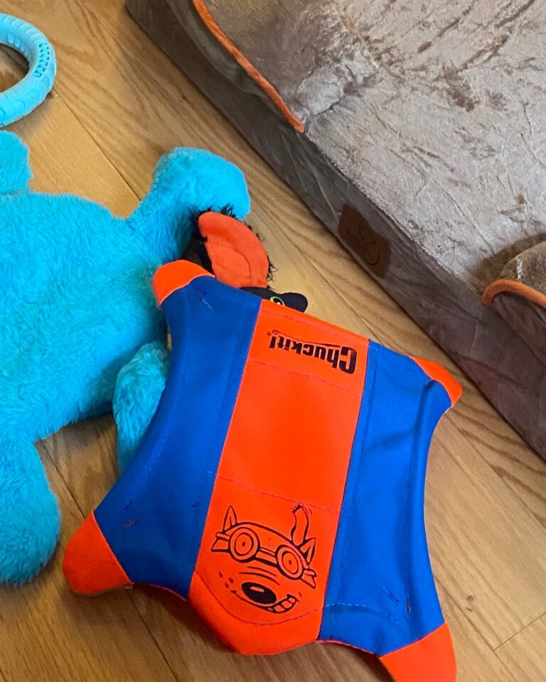Chuckit Flying Squirrel toy in orange and blue on the floor at Kai's house