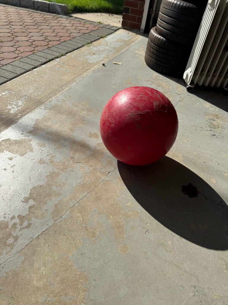 Worn red 14 inch Jolly Pets Push-n-Play herding ball