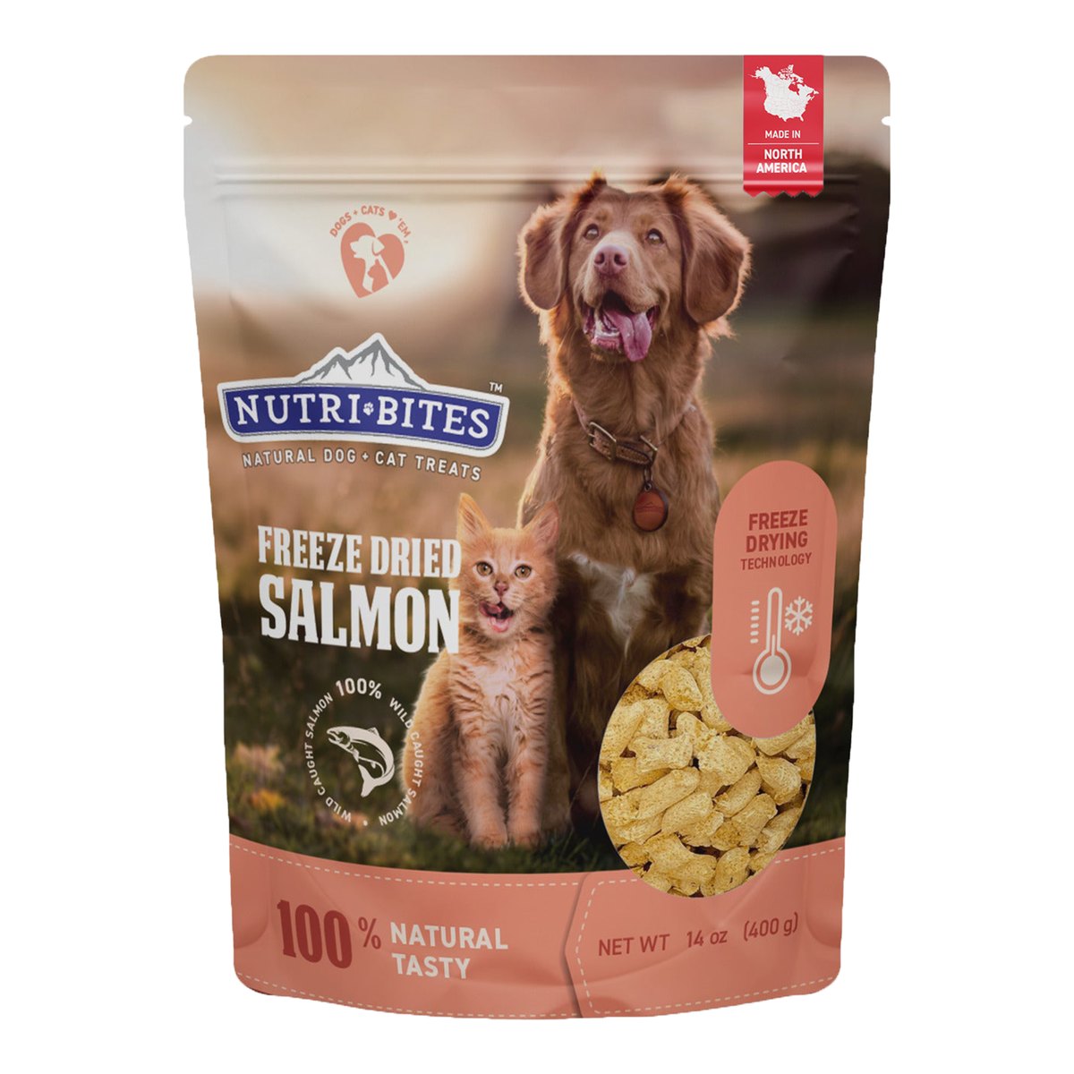 Nutri Bites freeze dried salmon dog treats bag